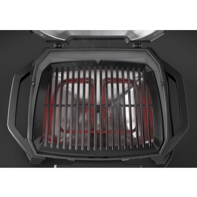 Weber Pulse 1000