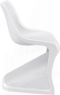 BLOOM WHITE